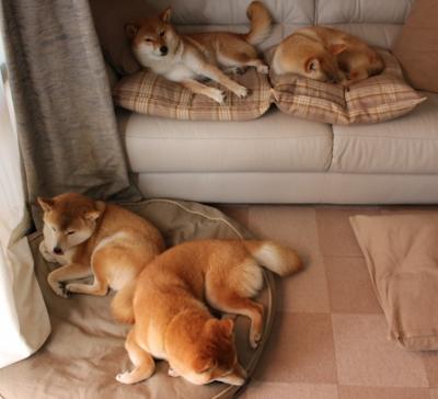 夜间水上漂移大赛,灯光与水流的激情碰撞,水上漂流是什么